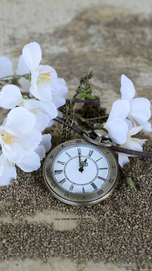 Trauerhilfe – Bestattungen Tepe